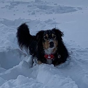 Meet your Posher, Nadia